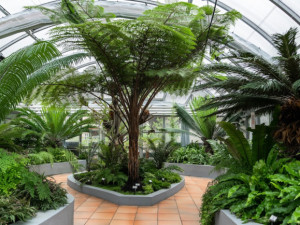 Robot na poli, děti pečující o přírodu. Soutěž E.ON Energy Globe o nejlepší ekologické projekt má šest finalistů