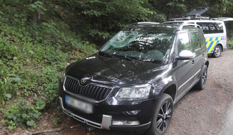 Statný jelen skončil nečekaně na projíždějící auto a zmizel v lese