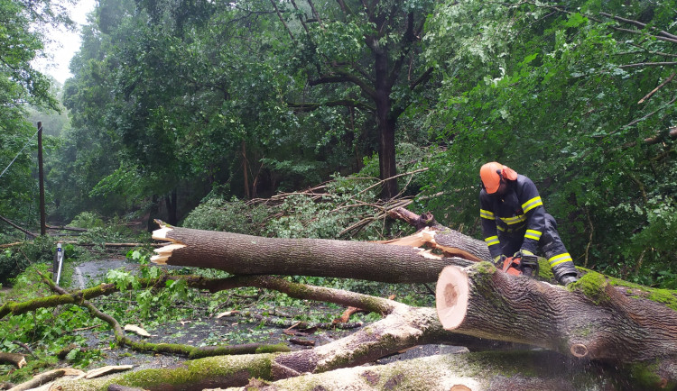 Meteorologové varují před bouřkami a silným větrem, který bude častěji vyvracet stromy