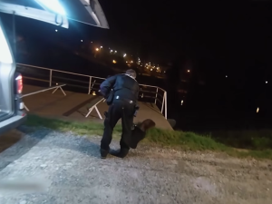 VIDEO: Tady normálně běhá bobr, líčil šokovaný muž. Zavalitý hlodavec si vykračoval kousek od hlavního nádraží