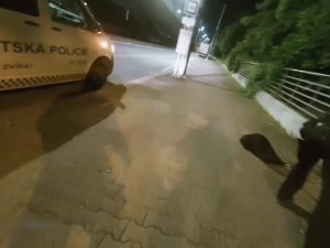 VIDEO: Tady normálně běhá bobr, líčil šokovaný muž. Zavalitý hlodavec si vykračoval kousek od hlavního nádraží