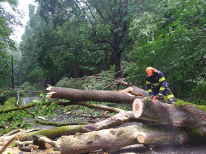 Meteorologové varují před bouřkami a silným větrem, který bude častěji vyvracet stromy