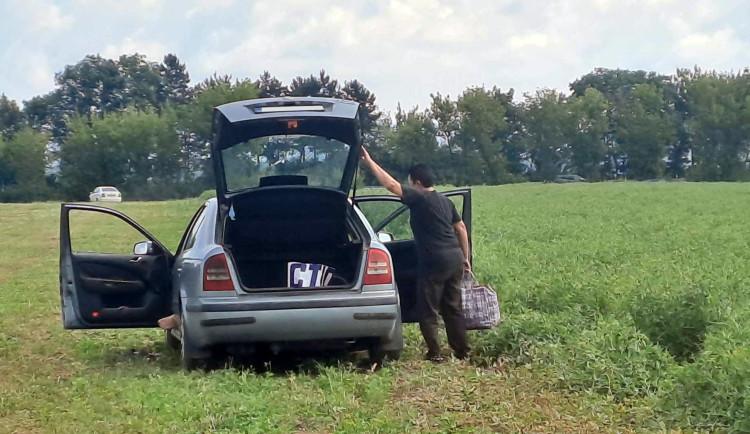 S obrovskými taškami pro cizí hrášek. Družstvo z Hané trápí nájezdy nevítaných sběračů