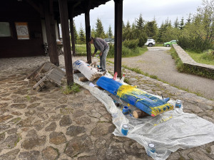 Mrtvé a uschlé šumavské kmeny oživovala desítka umělců svými malbami na rozhledně Poledník