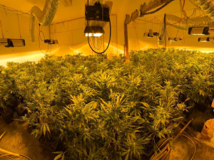 Kriminalisté dopadli dealery kokainu, čtyři z nich putovali rovnou do vazby