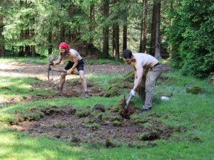 Dobrovolníci pomáhají se záchranou silně ohrožených masožravek, rostou na rašelinné louce u zaniklé obce