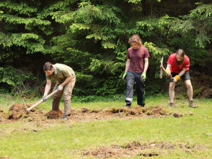Dobrovolníci pomáhají se záchranou silně ohrožených masožravek, rostou na rašelinné louce u zaniklé obce
