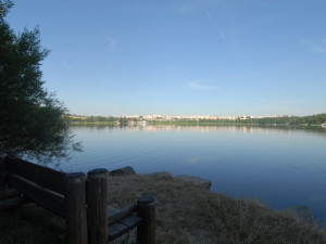 Čerstvě dopuštěný Velký bolevecký rybník hlásí na začátku sezóny ideální vodu ke koupání