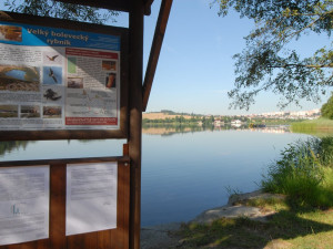 Čerstvě dopuštěný Velký bolevecký rybník hlásí na začátku sezóny ideální vodu ke koupání