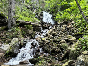 Vypravte se za divokými vodopády Šumavy a Bavorského lesa. Cestou potkáte i 1000 let starý strom