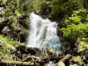 Naprosto nádherný vodopád uprostřed divokého pralesa Höllbachgspreng navštívíte těsně po překonání česko-německé hranice pod vrcholem hory Falkenstein