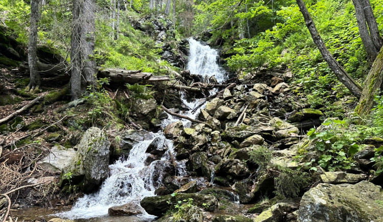 Naprosto nádherný vodopád uprostřed divokého pralesa Höllbachgspreng navštívíte těsně po překonání česko-německé hranice pod vrcholem hory Falkenstein
