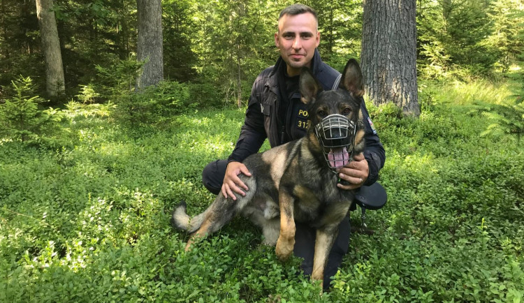 Policejní pes Miki dopadl zloděje na útěku z místa činu