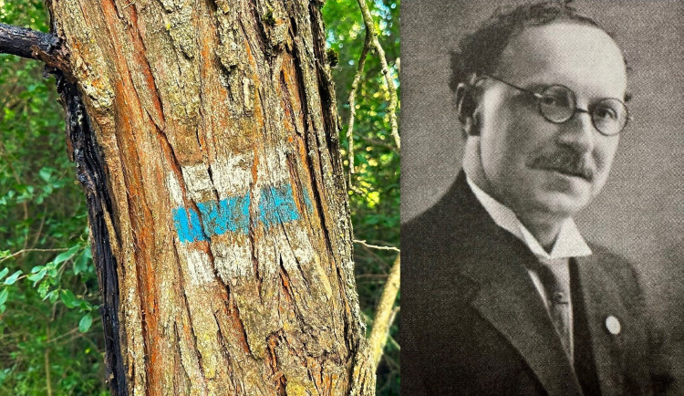 Na Šumavě nezabloudíme díky dokonale značeným turistickým trasám. Většinu z nich vyznačil a vymyslel Václav Vavrýn