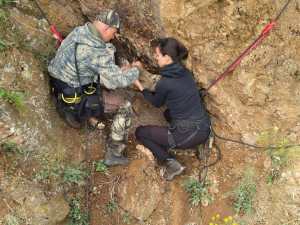 Kroužkování výrů na hnízdě ve skalní stěně