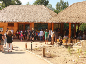 Plzeňská zoo se pyšní novým pavilonem pro guerézy angolské, tyto opice chovají v Plzni od roku 1998