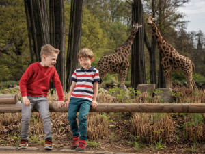 Pivovar Prazdroj a plzeňská zoo patří mezi 15 nejnavštěvovanějších turistických cílů v Česku