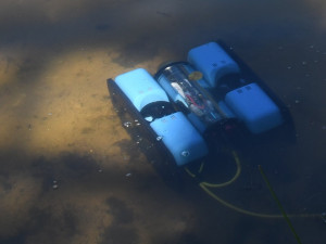 VIDEO: Speciální podvodní dron potvrdil výskyt masožravé rostliny v Seneckém rybníce