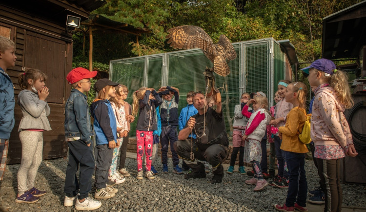 Záchranná stanice v Plzni pečuje o zraněná zvířata, která se tam často dostávají z celého Plzeňského kraje