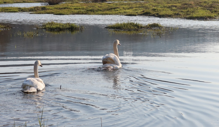 Trenér s partnerkou na Klabavské přehradě