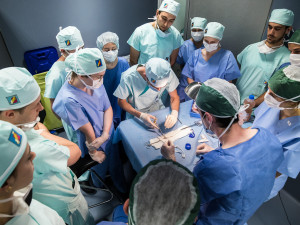 Studenti medicíny operují v Plzni prasata, sešívají jim nožičky nebo odstraňují ledviny