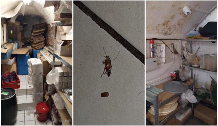 Plesnivé stropy, špína a mrtví švábi na podlaze, inspekce uzavřela zanedbaný Kebab house