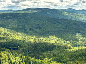Zdolejte druhou nejvyšší horu Šumavy a Bavorského lesa. Na Roklan se vydejte úchvatnou, ale nejtěžší cestou