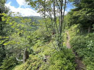 Zdolejte druhou nejvyšší horu Šumavy a Bavorského lesa. Na Roklan se vydejte úchvatnou, ale nejtěžší cestou