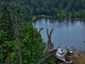 Zdolejte druhou nejvyšší horu Šumavy a Bavorského lesa. Na Roklan se vydejte úchvatnou, ale nejtěžší cestou