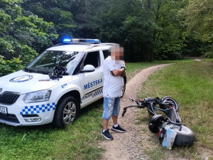 VIDEO: Strážníci pronásledovali muže na elektrokoloběžce. Snažil se je setřást v parku, ale havaroval