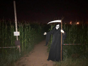 Dobrodruzi mohou vyrazit i na noční bloudění