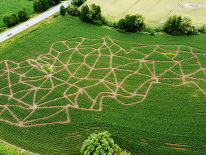 Abyste trefili ven, musíte oprášit znalosti ze školy. Unikátních kukuřičných bludišť najdete v Česku hned několik