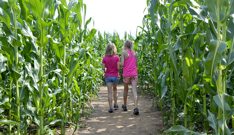 Abyste trefili ven, musíte oprášit znalosti ze školy. Unikátních kukuřičných bludišť najdete v Česku hned několik