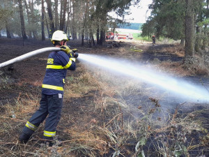 Během krátké doby dvakrát hořelo v lese a pokaždé na totožném místě, lidé i přes zákaz rozdělávají táboráky