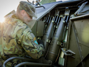 Osádka děl se musela chránit i proti hmyzu, který byl vzhledem k mokřadům početný