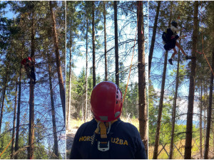 Šumavští horští záchranáři sundávali ze stromu dalšího paraglidistu, uvízl ve dvanáctimetrové výšce