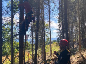 Šumavští horští záchranáři sundávali ze stromu dalšího paraglidistu, uvízl ve dvanáctimetrové výšce