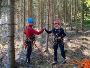Šumavští horští záchranáři sundávali ze stromu dalšího paraglidistu, uvízl ve dvanáctimetrové výšce
