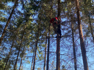 Šumavští horští záchranáři sundávali ze stromu dalšího paraglidistu, uvízl ve dvanáctimetrové výšce