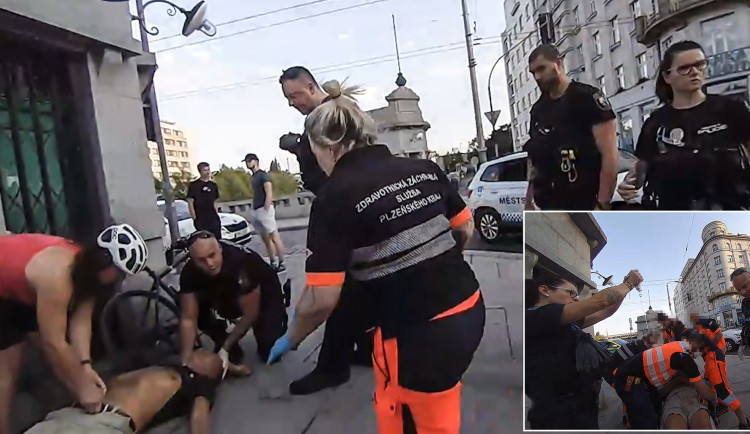 Alergik zkolaboval po bodnutí vosou, život mu zachránili strážníci