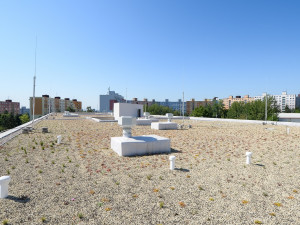 Základní škola se může pyšnit jednou z největších zelených střech. Město vyšla její rekonstrukce na 49 milionů