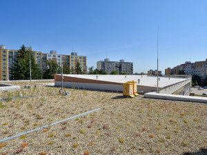 Základní škola se může pyšnit jednou z největších zelených střech. Město vyšla její rekonstrukce na 49 milionů