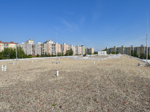 Základní škola se může pyšnit jednou z největších zelených střech. Město vyšla její rekonstrukce na 49 milionů