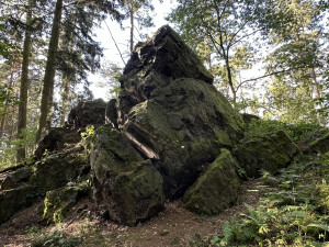 Jeden z vrcholků Těnovické skály