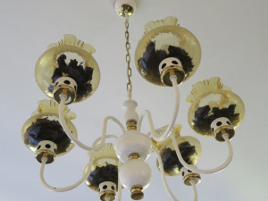 Tisíce netopýrů opět berou útokem byty a domy. Pozor při manipulaci s nimi, hrozí nákaza smrtelnou vzteklinou