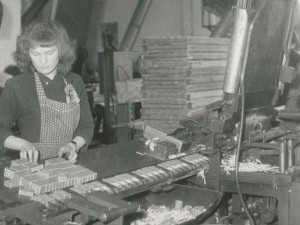 archiv Muzea Šumavy