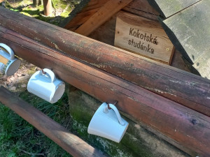 Lesnici obnovili tři studánky v lesích na Kokotsku, podél stezky je i ta s kuriozním názvem U Čůráčku