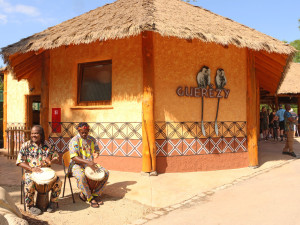 Obrovská radost v plzeňské zoo, narodilo se tam mládě guerézy angolské, matka i tlupa jej pečlivě hlídají