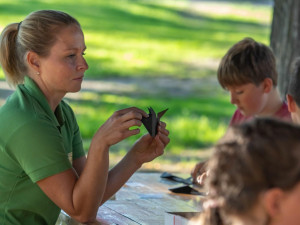 Zámek ovládnou netopýři, tajemným živočichům bude patřit páteční noc
