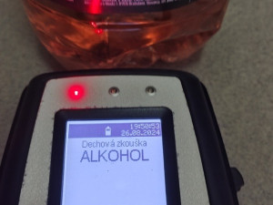 Za necelý měsíc řešili strážníci 193 porušení vyhlášky o popíjení alkoholu na veřejnosti